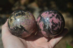 Polished Rhodonite Spheres x 3 From Madagascar - Toprock Gemstones and Minerals 