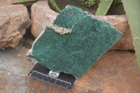 Natural Botryoidal Malachite Specimens x 2 From Tenke Fungurume, Congo - Toprock Gemstones and Minerals 