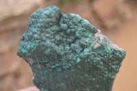 Natural Botryoidal Malachite Specimens x 2 From Tenke Fungurume, Congo - Toprock Gemstones and Minerals 