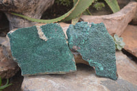 Natural Botryoidal Malachite Specimens x 2 From Tenke Fungurume, Congo - Toprock Gemstones and Minerals 