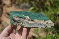 Natural Botryoidal Malachite Specimens x 2 From Tenke Fungurume, Congo - Toprock Gemstones and Minerals 
