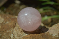 Polished Rose Quartz Spheres x 6 From Madagascar - Toprock Gemstones and Minerals 