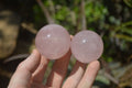 Polished Rose Quartz Spheres x 6 From Madagascar - Toprock Gemstones and Minerals 