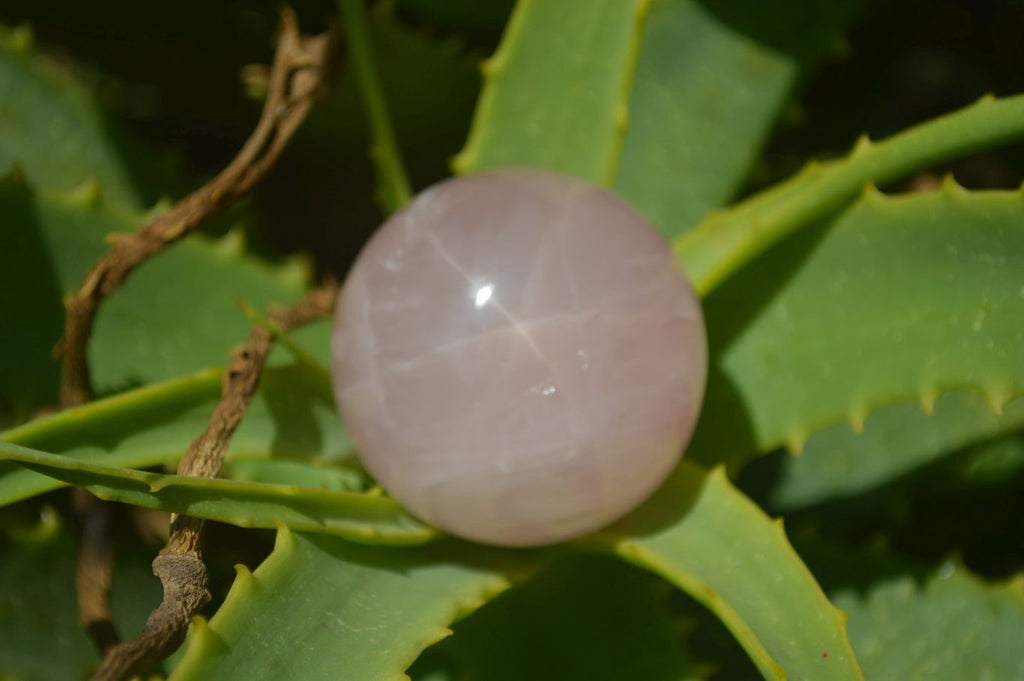 Polished Rose Quartz Spheres x 6 From Madagascar - Toprock Gemstones and Minerals 