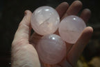 Polished Rose Quartz Spheres x 6 From Madagascar - Toprock Gemstones and Minerals 