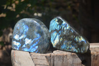 Polished Labradorite Standing Free Forms x 2 From Tulear, Madagascar - Toprock Gemstones and Minerals 