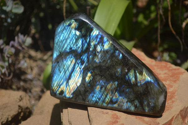 Polished Labradorite Standing Free Forms x 2 From Tulear, Madagascar - Toprock Gemstones and Minerals 