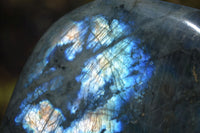Polished Labradorite Standing Free Forms x 2 From Tulear, Madagascar - Toprock Gemstones and Minerals 