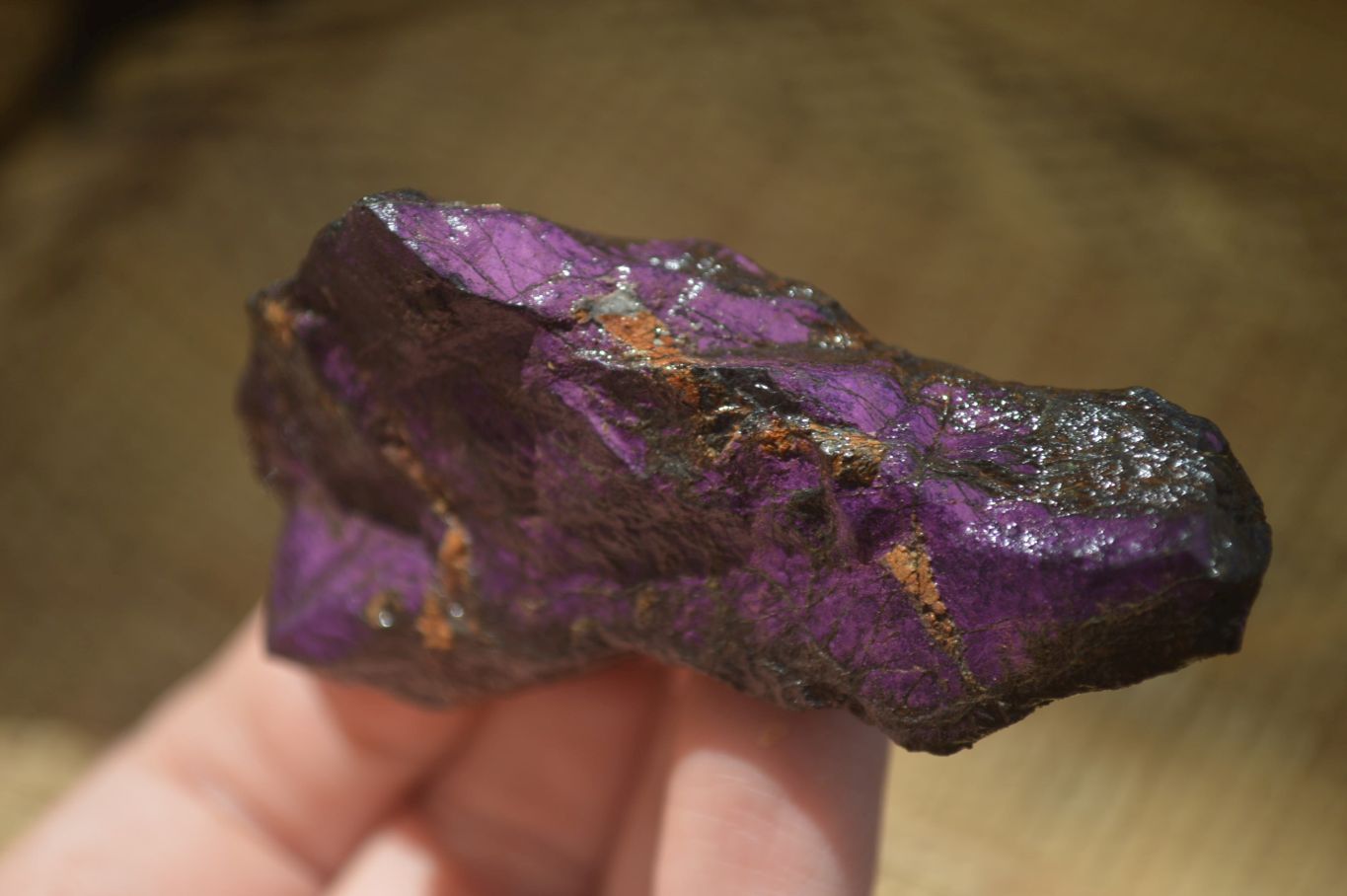 Natural Metallic Purpurite Cobbed Specimens x 12 From Erongo, Namibia - Toprock Gemstones and Minerals 