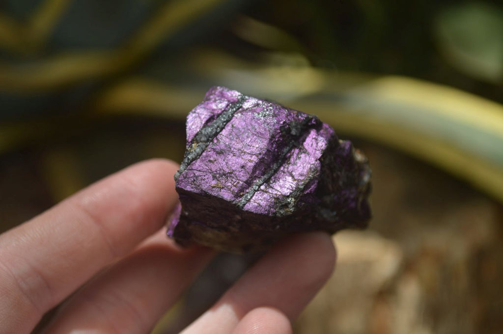 Natural Metallic Purpurite Cobbed Specimens x 12 From Erongo, Namibia - Toprock Gemstones and Minerals 