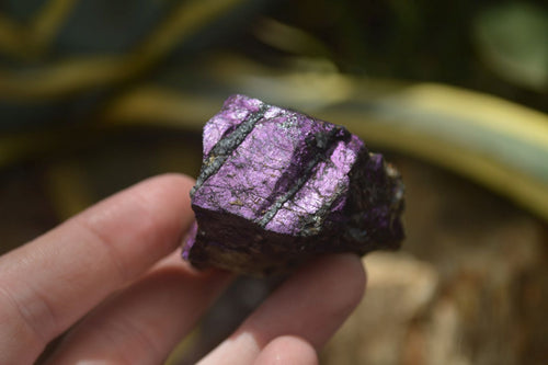 Natural Metallic Purpurite Cobbed Specimens x 12 From Erongo, Namibia - Toprock Gemstones and Minerals 