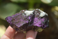 Natural Metallic Purpurite Cobbed Specimens x 12 From Erongo, Namibia - Toprock Gemstones and Minerals 