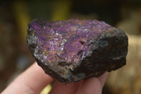 Natural Metallic Purpurite Cobbed Specimens x 12 From Erongo, Namibia - Toprock Gemstones and Minerals 