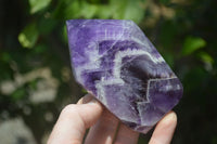 Polished Chevron Amethyst Points x 6 From Zambia - Toprock Gemstones and Minerals 