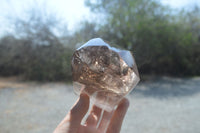 Polished Smokey Window Quartz Crystal x 1 From Madagascar - Toprock Gemstones and Minerals 