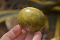 Polished Green Opal Palm Stones x 12 From Madagascar - Toprock Gemstones and Minerals 