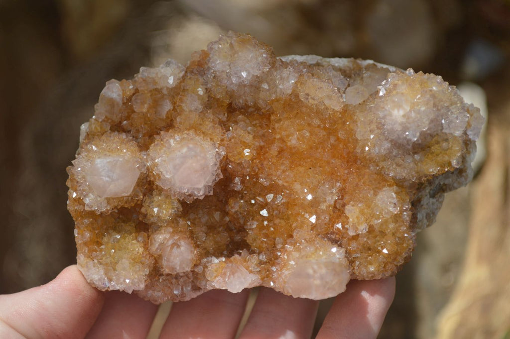 Natural Spirit Quartz Clusters x 6 From Boekenhouthoek, South Africa - Toprock Gemstones and Minerals 