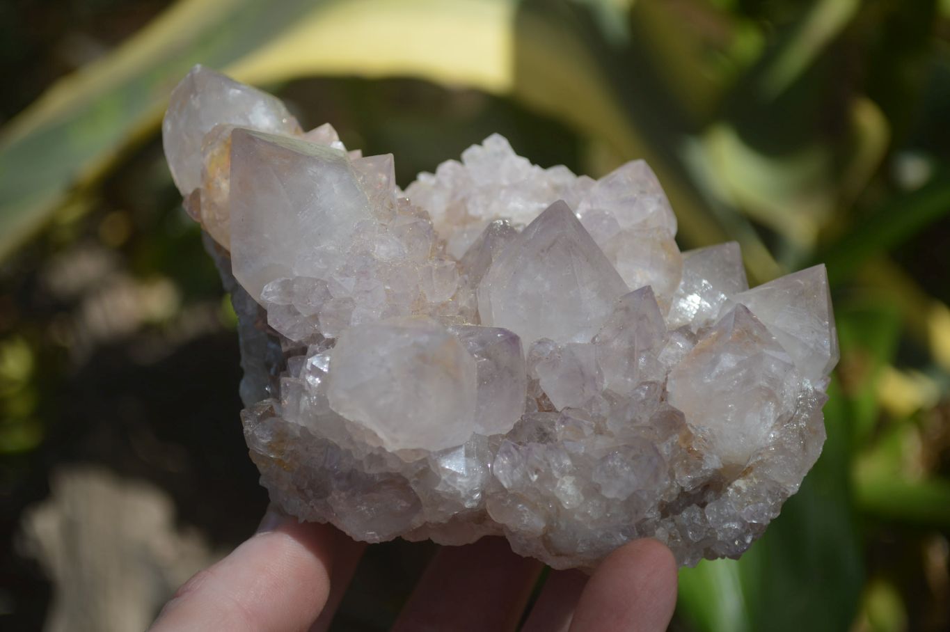 Natural Spirit Quartz Clusters x 6 From Boekenhouthoek, South Africa - Toprock Gemstones and Minerals 