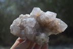 Natural Spirit Quartz Clusters x 6 From Boekenhouthoek, South Africa - Toprock Gemstones and Minerals 