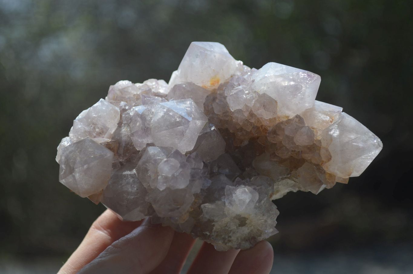 Natural Spirit Quartz Clusters x 6 From Boekenhouthoek, South Africa - Toprock Gemstones and Minerals 