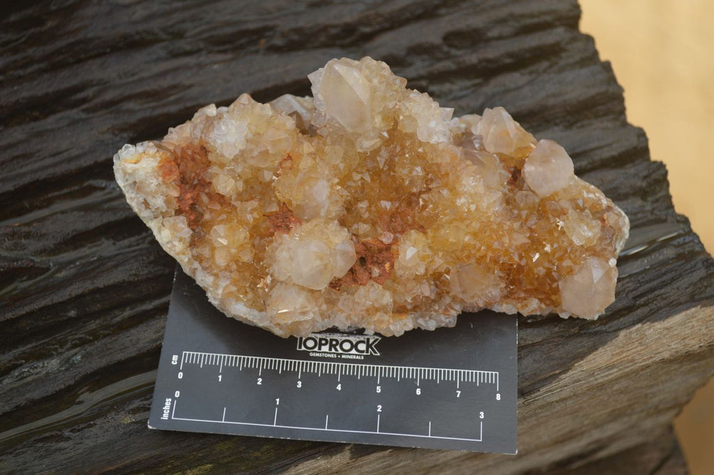 Natural Spirit Quartz Clusters x 6 From Boekenhouthoek, South Africa - Toprock Gemstones and Minerals 