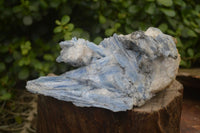 Natural Kyanite Matrix Specimens x 2 From Zimbabwe