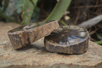 Polished Petrified Wood Slices x 5 From Gokwe, Zimbabwe - Toprock Gemstones and Minerals 