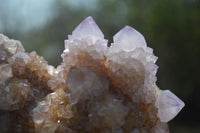 Natural Ametrine Spirit Quartz Cluster x 1 From Boekenhouthoek, South Africa