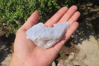 Natural Etched Blue Chalcedony Specimens x 12 From Nsanje, Malawi - Toprock Gemstones and Minerals 