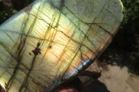 Polished Labradorite Standing Free Forms x 12 From Tulear, Madagascar - Toprock Gemstones and Minerals 
