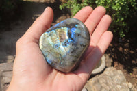 Polished Labradorite Standing Free Forms x 12 From Tulear, Madagascar - Toprock Gemstones and Minerals 