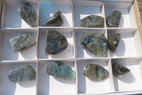 Polished Labradorite Standing Free Forms x 12 From Tulear, Madagascar - Toprock Gemstones and Minerals 