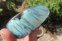 Polished Labradorite Standing Free Forms x 12 From Tulear, Madagascar - Toprock Gemstones and Minerals 