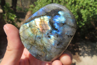 Polished Labradorite Standing Free Forms x 12 From Tulear, Madagascar - Toprock Gemstones and Minerals 