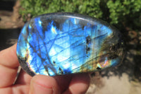Polished Labradorite Standing Free Forms x 12 From Tulear, Madagascar - Toprock Gemstones and Minerals 