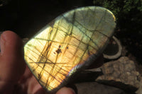 Polished Labradorite Standing Free Forms x 12 From Tulear, Madagascar - Toprock Gemstones and Minerals 