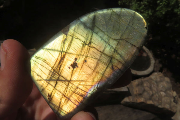 Polished Labradorite Standing Free Forms x 12 From Tulear, Madagascar - Toprock Gemstones and Minerals 