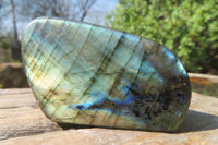 Polished Labradorite Standing Free Forms x 12 From Tulear, Madagascar - Toprock Gemstones and Minerals 