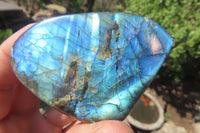 Polished Labradorite Standing Free Forms x 12 From Tulear, Madagascar - Toprock Gemstones and Minerals 