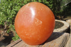 Polished Orange Twist Calcite Standing Free Forms x 2 From Madagascar - Toprock Gemstones and Minerals 