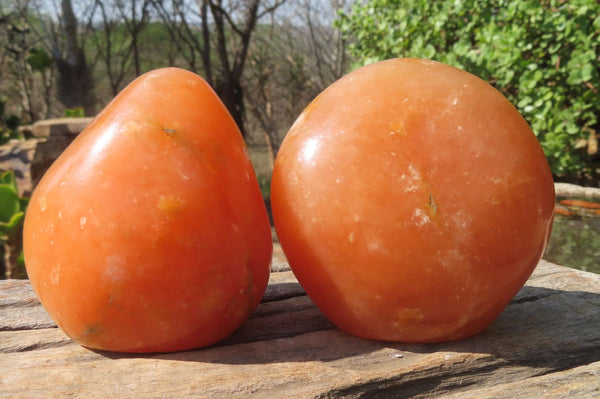 Polished Orange Twist Calcite Standing Free Forms x 2 From Madagascar