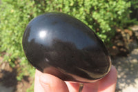 Polished Black Basalt Gemstone Eggs x 6 From Madagascar - Toprock Gemstones and Minerals 