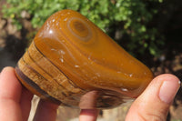 Polished Tiger's Eye Free Forms x 4 From Prieska, South Africa
