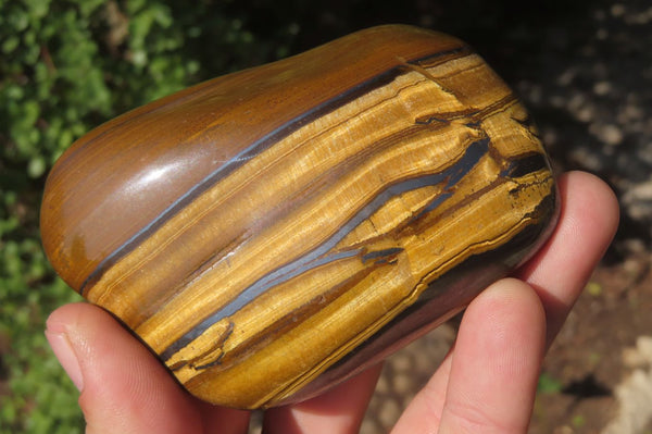 Polished Tiger's Eye Free Forms x 4 From Prieska, South Africa