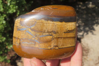 Polished Tiger's Eye Free Forms x 4 From Prieska, South Africa
