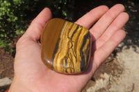 Polished Tiger's Eye Free Forms x 4 From Prieska, South Africa