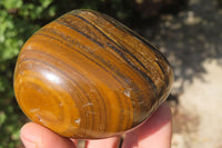 Polished Tiger's Eye Free Forms x 4 From Prieska, South Africa