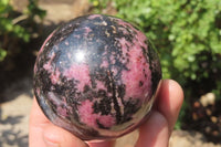 Polished Rhodonite Spheres x 3 From Ambindavato, Madagascar - Toprock Gemstones and Minerals 