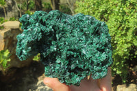 Natural Silky Malachite Specimen x 1 From Kasompe, Congo - Toprock Gemstones and Minerals 