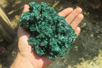 Natural Silky Malachite Specimen x 1 From Kasompe, Congo - Toprock Gemstones and Minerals 